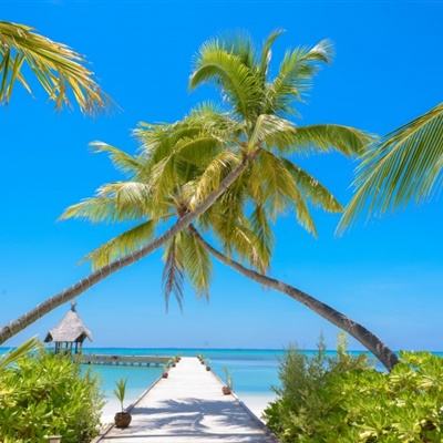 球王会官网注册