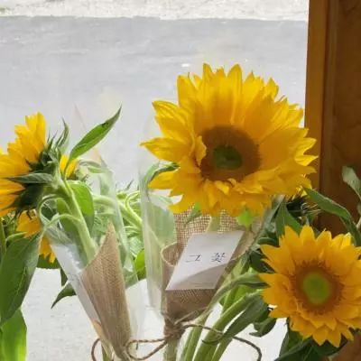 皇冠体官方网站app